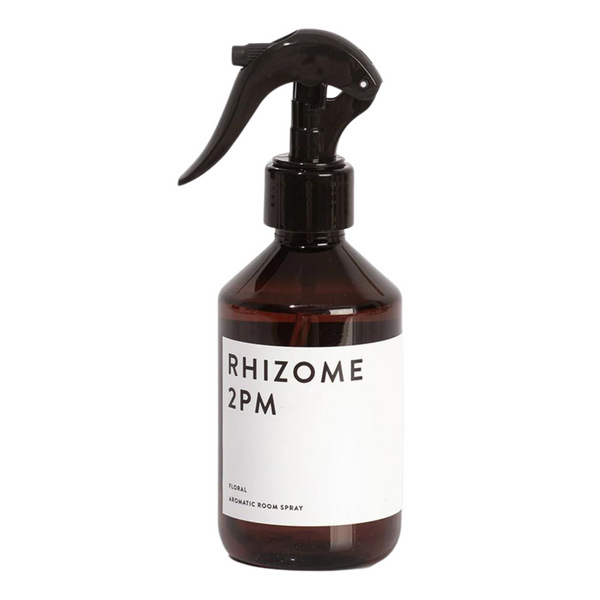 Rhizome 2AM