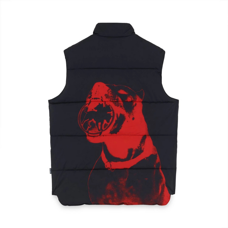 Club Dogo - Dogo Breed Puff
