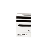 Rhizome 02